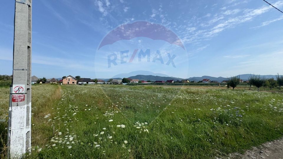 Land 1,000sqm Mocira / Strada 1DECEMBRIE