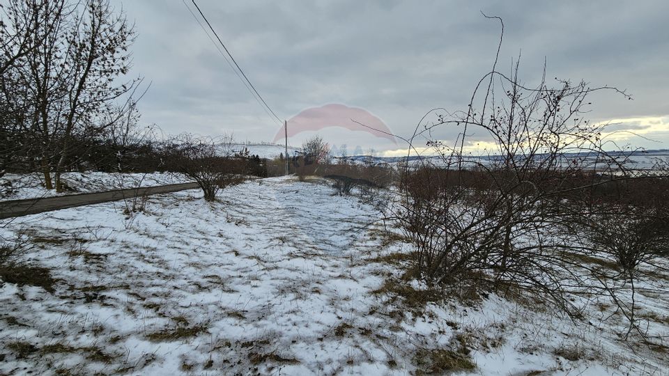 Teren 10,000mp Rădășeni / Șoseaua DN2-E85, județul Suceava
