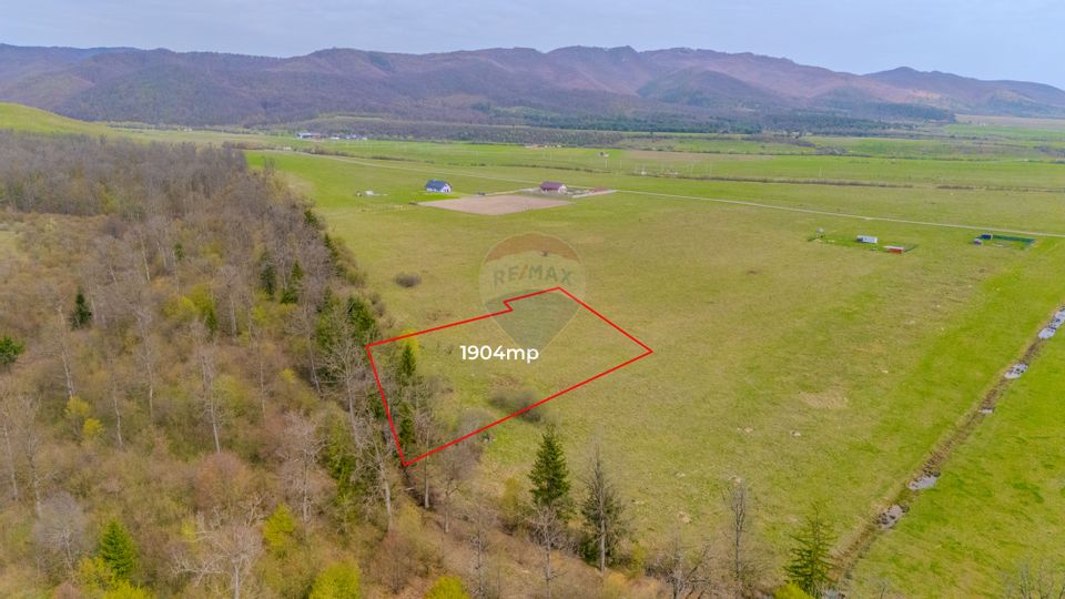 Teren Crizbav 1904 mp/PUZ/Langa Padure/Intravilan