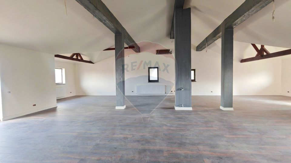 Villa for sale in Berceni, land 1161 sqm | Investment opportunity