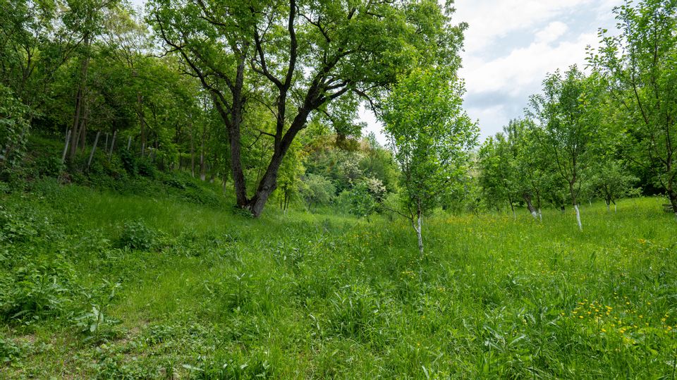 Vanzare teren intravilan in Breaza, cartierul Valea Tirsei 6870 mp