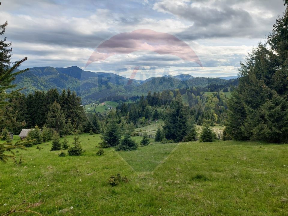 O fereastră către cer – teren de vis în Fundata, la poalele Bucegilor