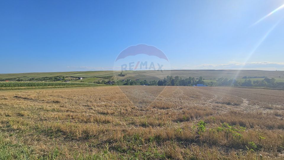 Teren intravilan, 7500 mp in Moara Carp / Strada Eternitatii-Suceava