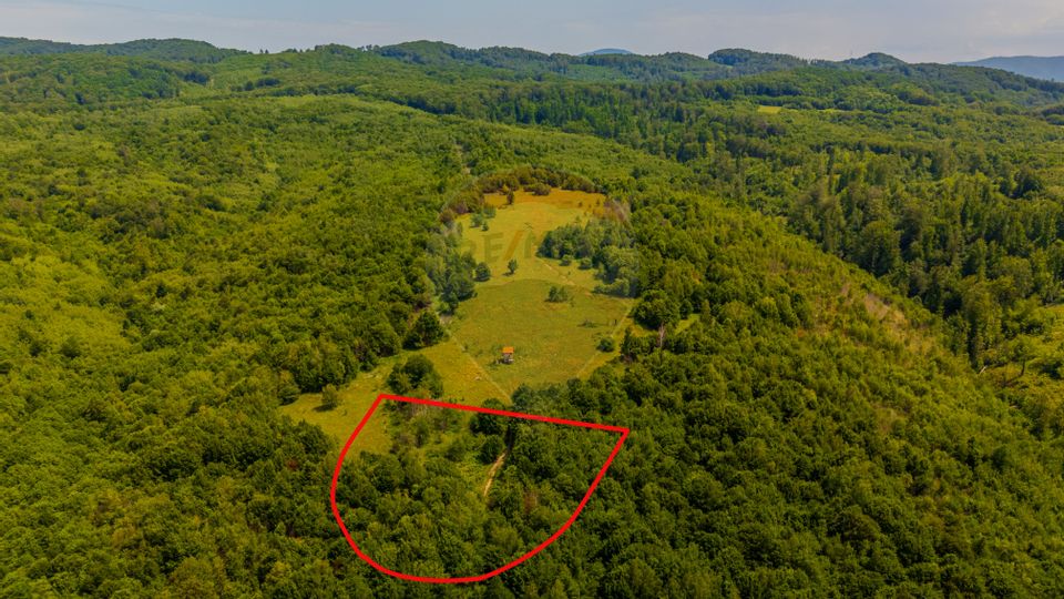 COMISION 0%  Teren 6,572 mp/Curți construcții/ Intravilan