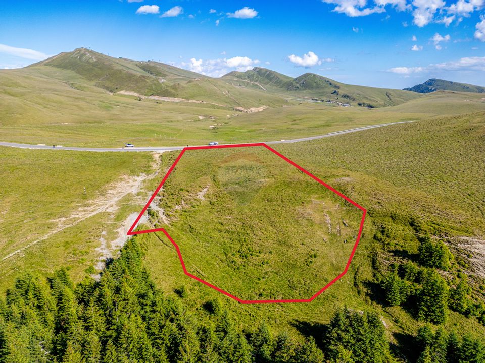 Teren intravilan Transbucegi / Oportunitate de dezvoltare Transbucegi