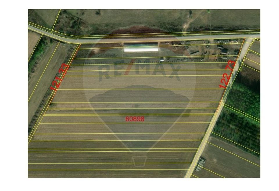 Teren extravilan 3000mp de vânzare la Sântion