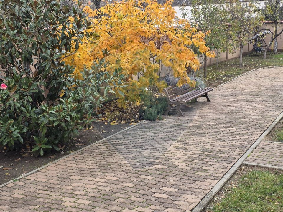 Inchiriere casă cu terasa si curte zona Piata Mica Spitalul Judetean