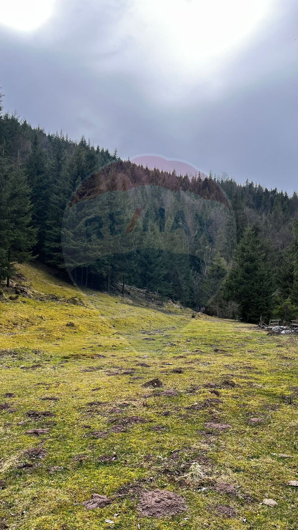 Arieșeni–Strada Fața Cristesei -Teren 4.331 mp cu Peisaj de Poveste
