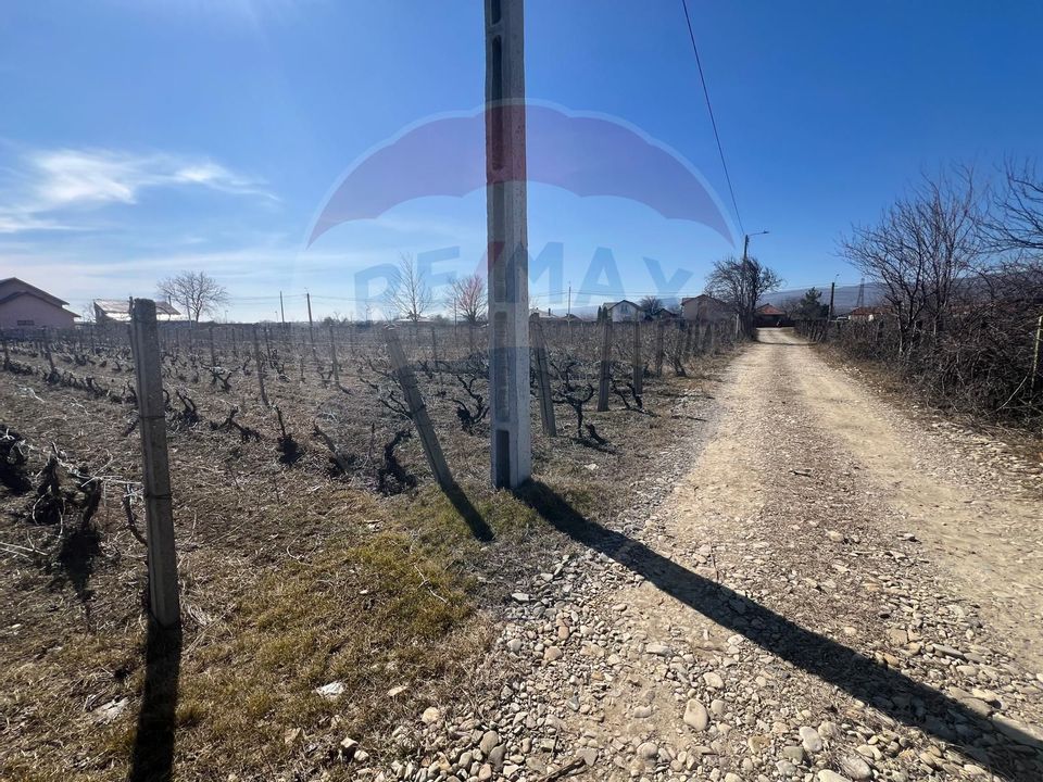 Teren intravilan Unirea / Strada Grozesti