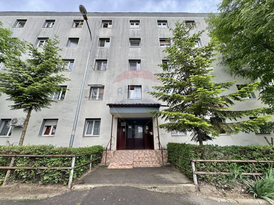 1 room Apartment for rent, Florilor area