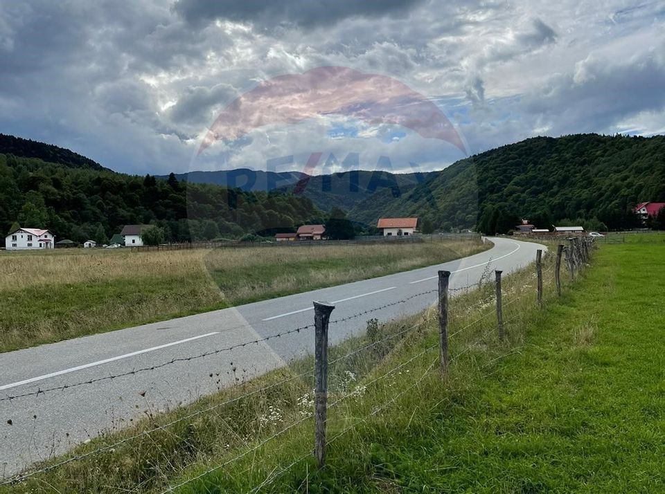 Comision 0! Teren Zarnesti- Plaiu Foii,  4000mp vedere Piatra Craiului