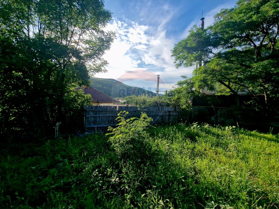 Teren 1,749mp Piatra-Neamt / Strada Zambilelor