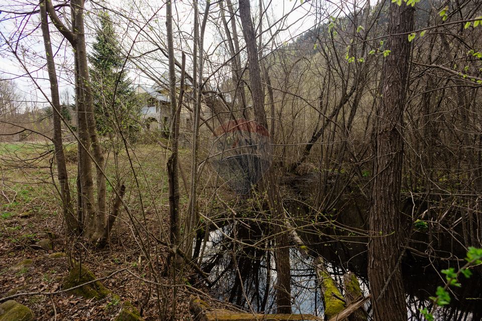 Casa si teren intravilan Tarcau