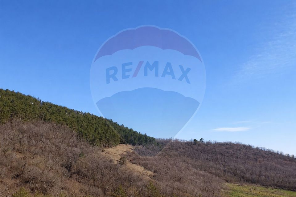 Teren extravilan 4.700 mp în Laz (Vintu de Jos) | Zonă liniștită