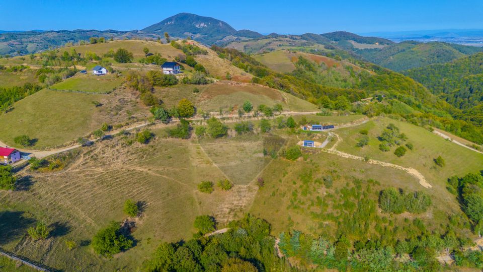 Teren extravilan 6,014mp | Holbav | BRASOV | COMISION 0|