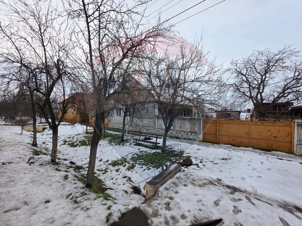 Gospodarie de vanzare in Giulvaz, judetul Timis