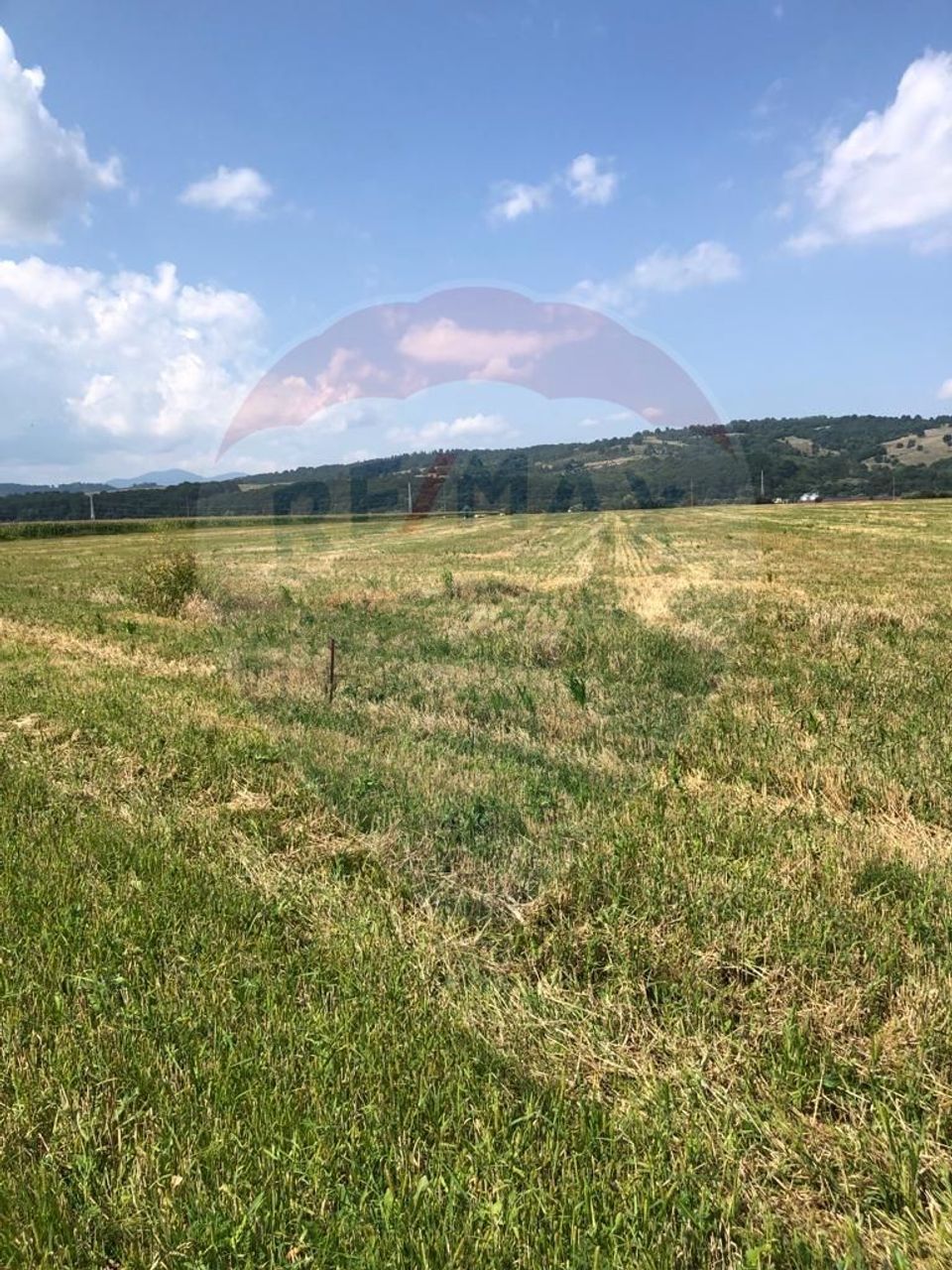 Land 5,000sqm Rasnov / Drumul teren