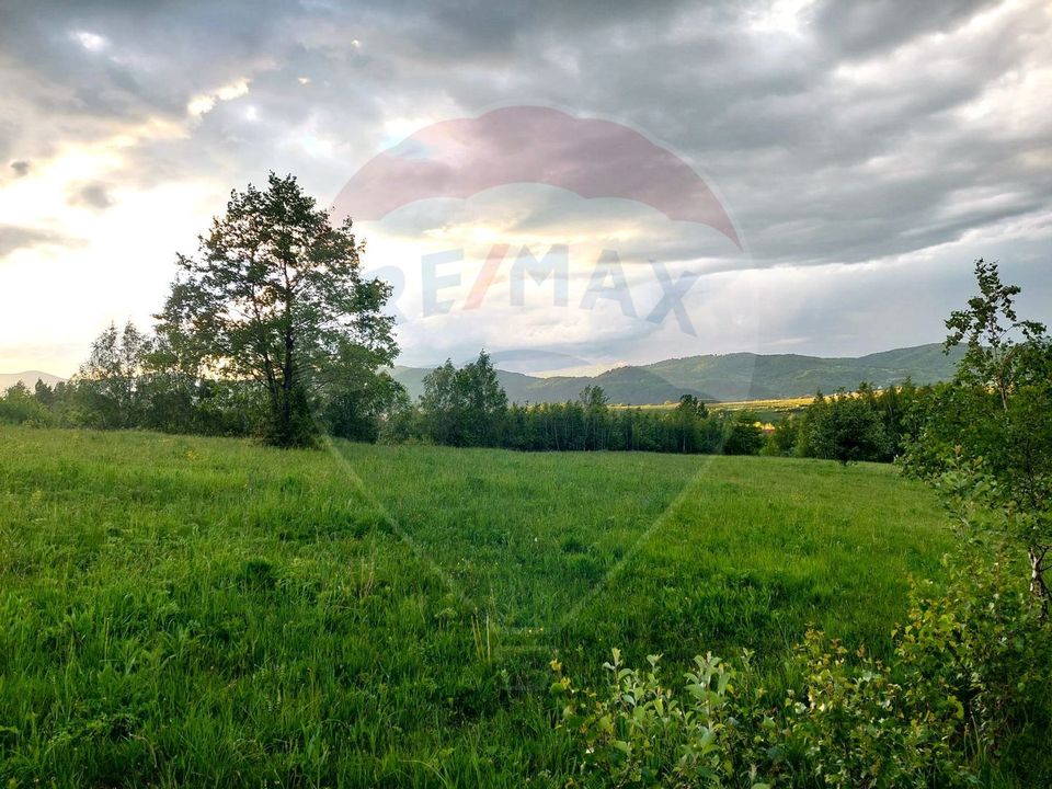 Land 4,223sqm Zarnesti / Strada Tohanita