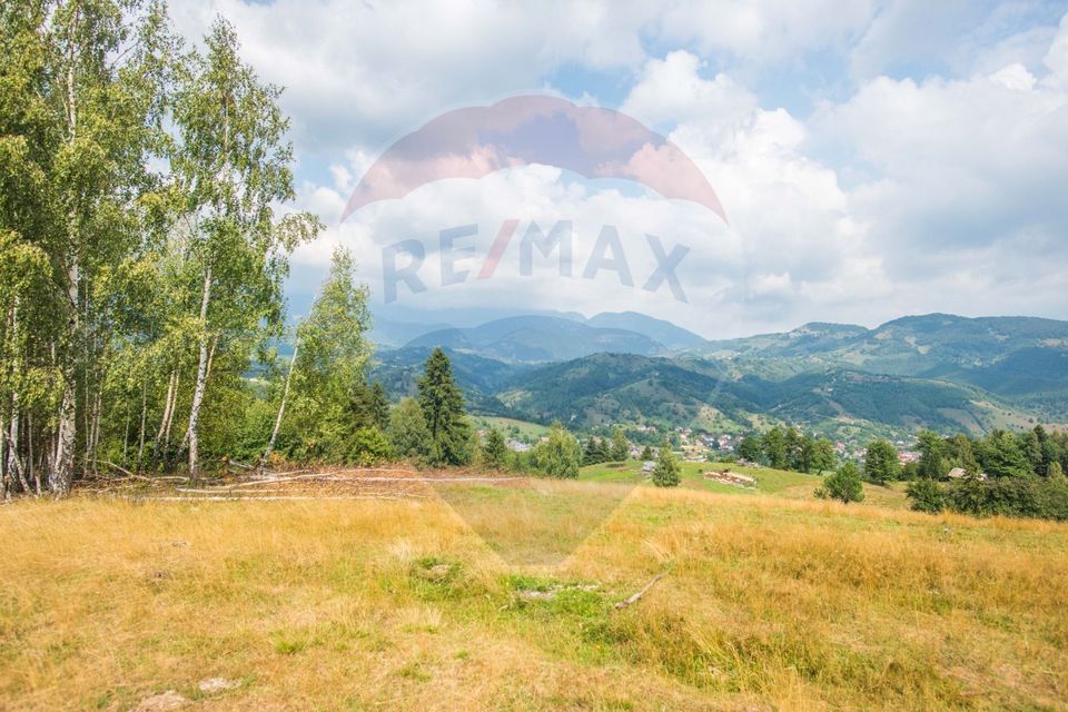 Teren extravilan Moieciu 45316mp