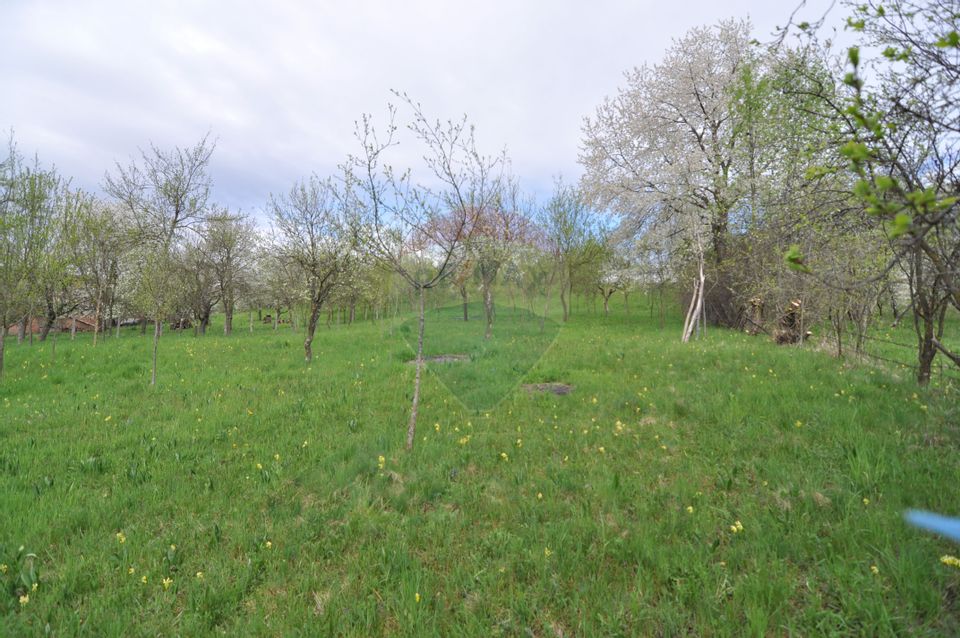 Land 2,811sqm Masca / Strada Principala