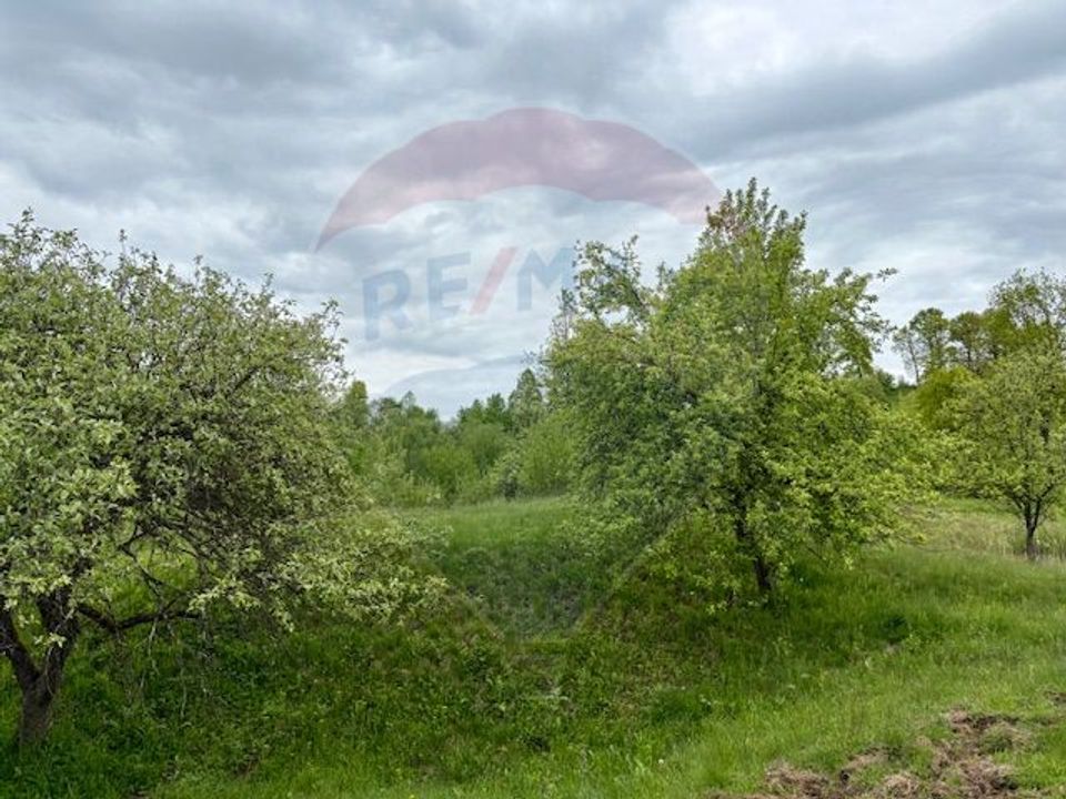 Land 20,876sqm Breb / Drumul Principal