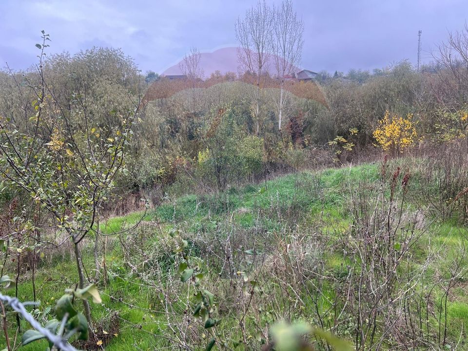 3 room House / Villa for sale, Central area