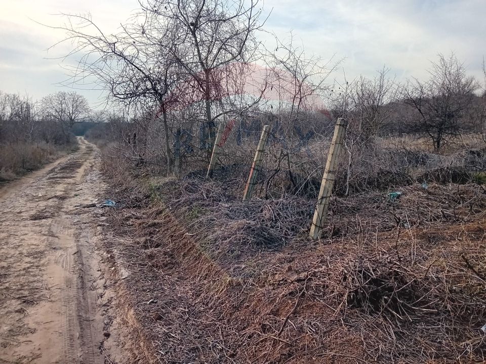 Teren 2,301mp Carcea / Aleea Tarlaua 37 Parcela 63