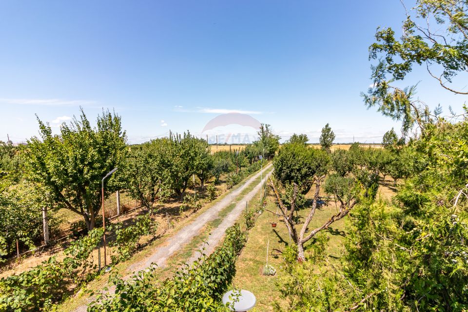 Casa+Laborator+ Teren 12.700 mp + casa de vacanta - Bolintin Vale