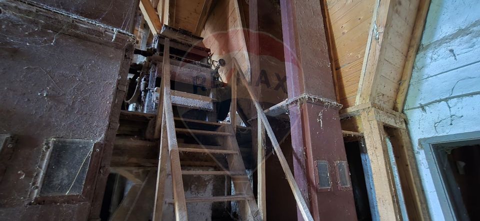 10 room House / Villa for sale