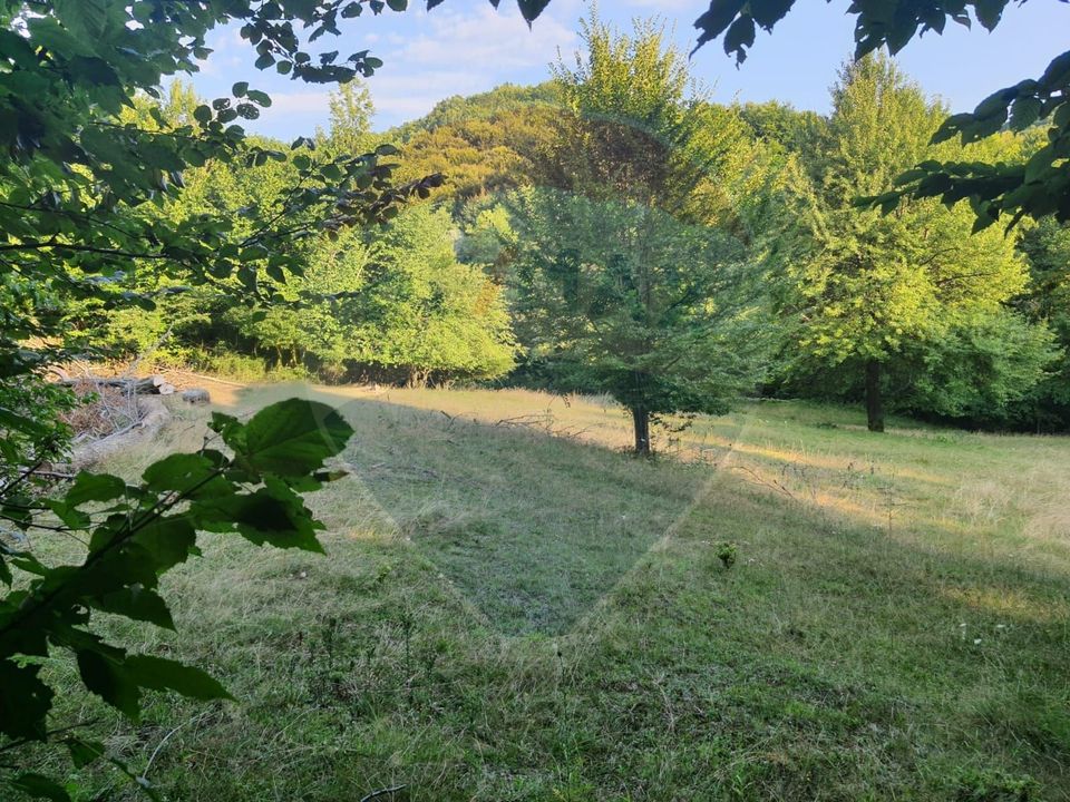 Poiană pentru cabana de vanzare intravilan Coas