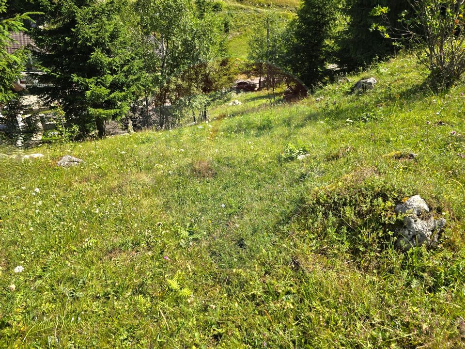 Teren de vis în Fundata 1934mp sau 3868mp, la înălțimea sufletului tău