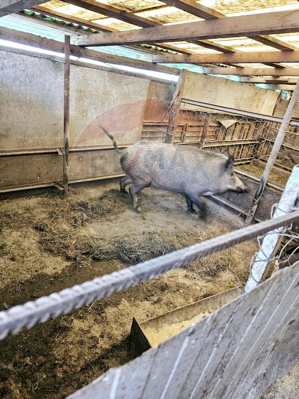 Casă / Vilă cu 5 camere de vânzare