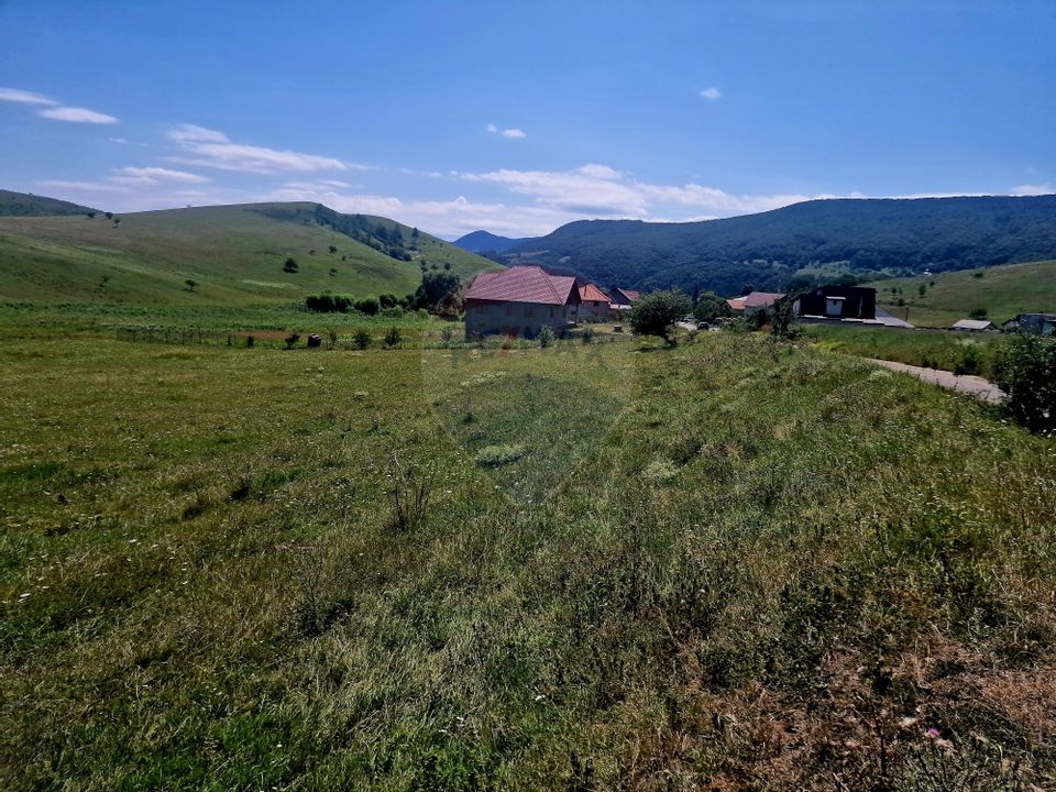 Land 5,000sqm Piatra-Neamt / Strada Punct Petruca