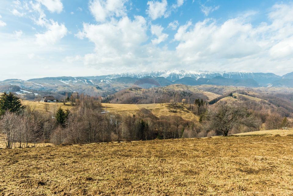 Comision 0%! Teren Moieciu de Jos 1500 mp