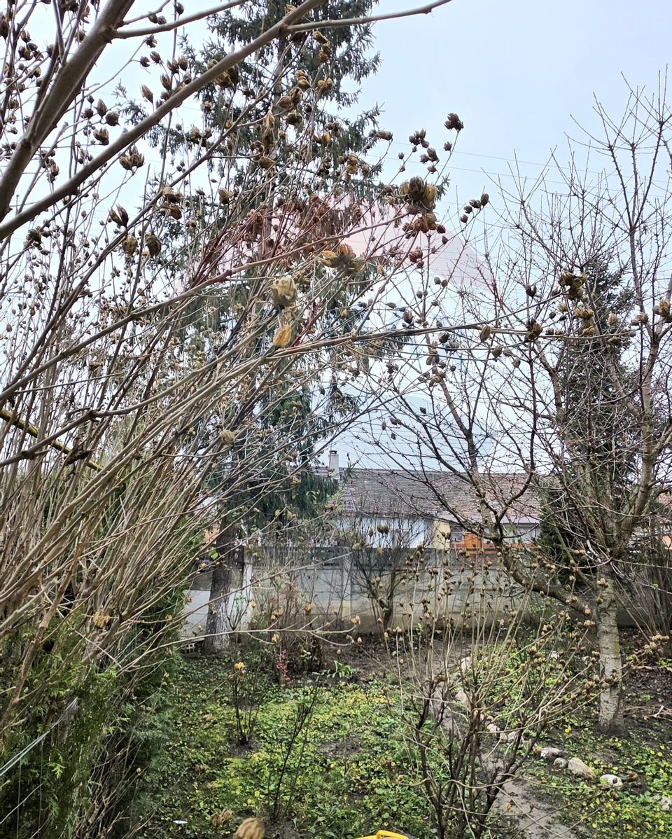 5 room House / Villa for sale, Central area