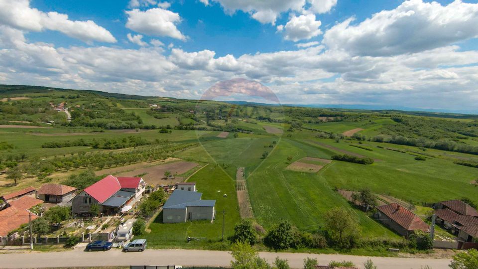 Casă cu 3 camere, anexă și 2042 mp teren de vânzare, în Calea Mare