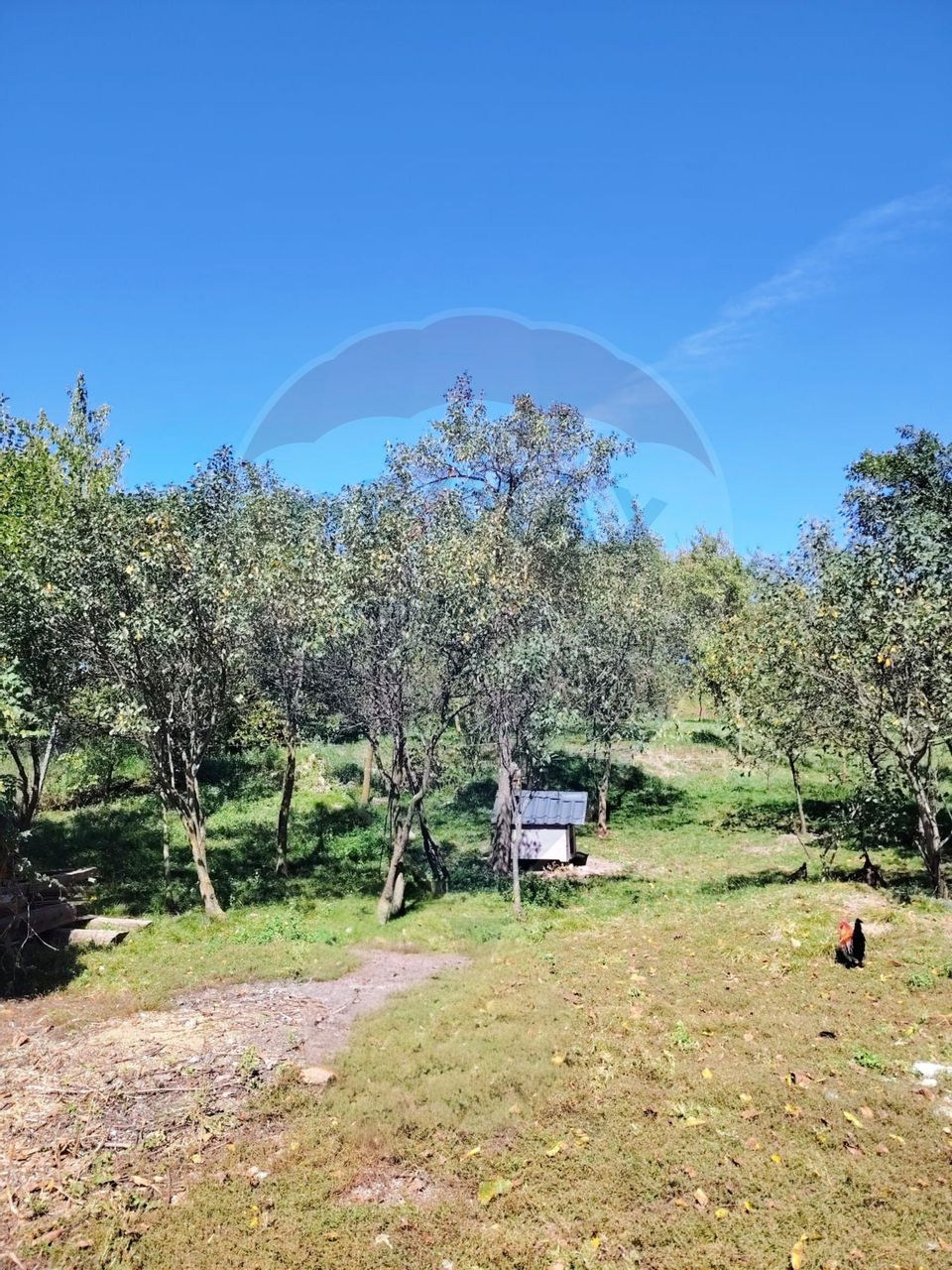 COMISION ZERO Teren de vanzare (30 AR) + casa veche din lemn