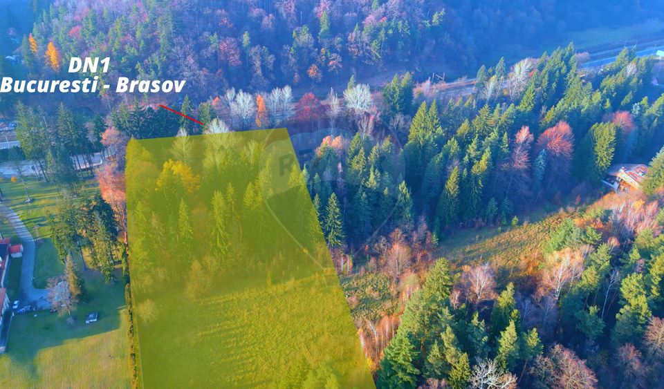 Land 10,000sqm Timisu de Jos / Strada Timișul de Jos