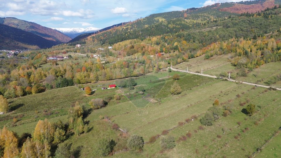 Land 3,831sqm Leresti / Strada Poduri