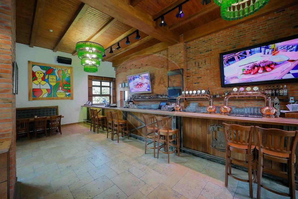 1,148sq.m Proprietate specială for sale, Ultracentral area