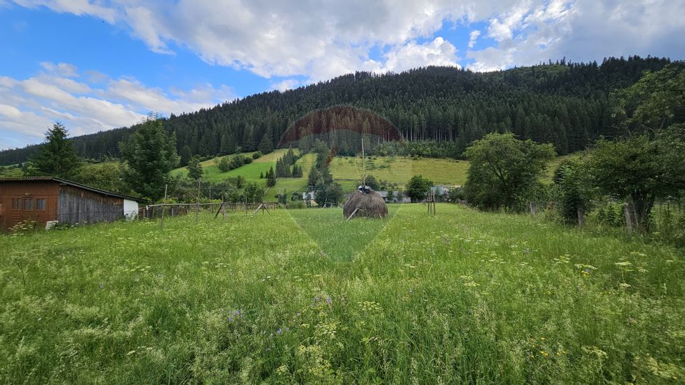 Casa 225 mp, teren intravilan 4822 mp C. Moldovenesc, Suceava