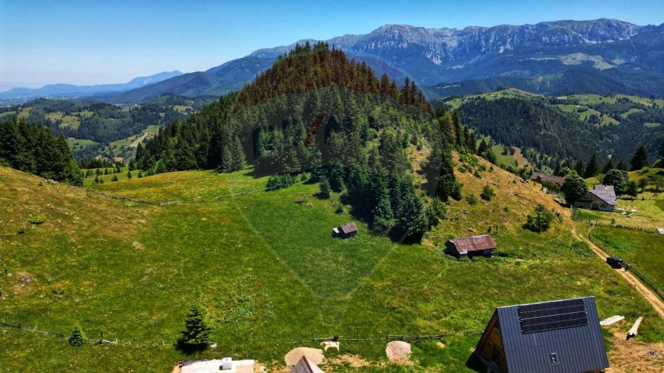 Teren de 7830mp de vanzare in Fundata! Comision 0%