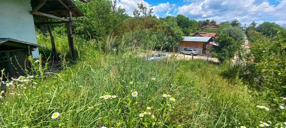 Land 3,551sqm Poiana Copaceni / Strada Poiana Copaceni