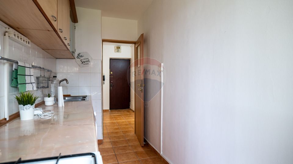 1 room Apartment for rent, P-ta Muncii area
