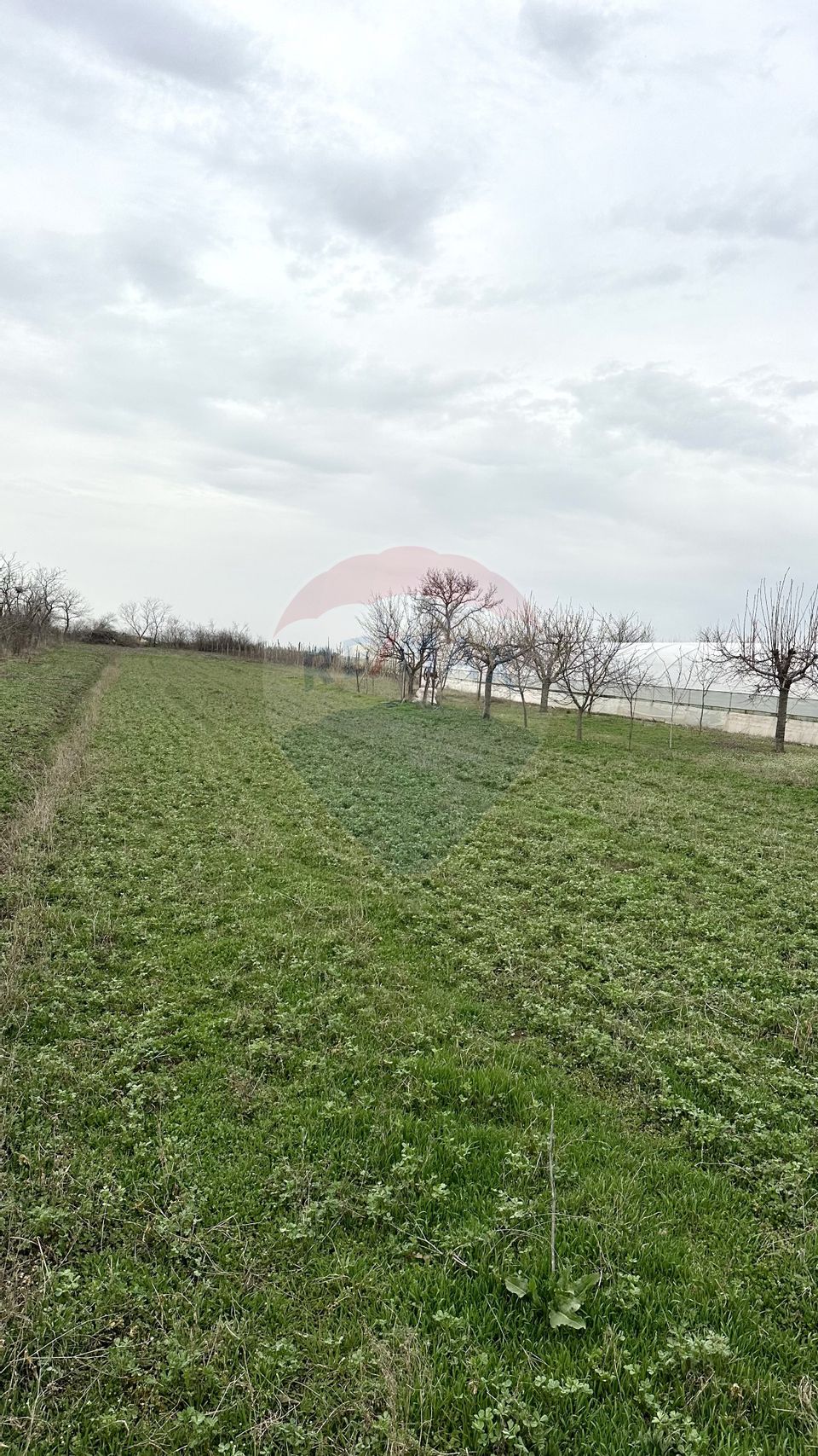 Teren 1944 mp + Casa 65 mp, Darasti-Vlasca Giurgiu/ 20 km Bucuresti