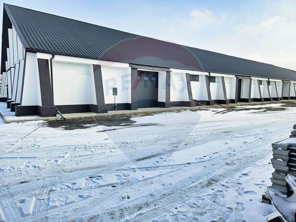 Hale industriale de închiriat în Tg Neamț