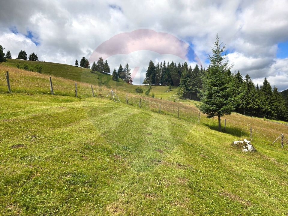 Teren de vis în Fundata 1934mp sau 3868mp, la înălțimea sufletului tău