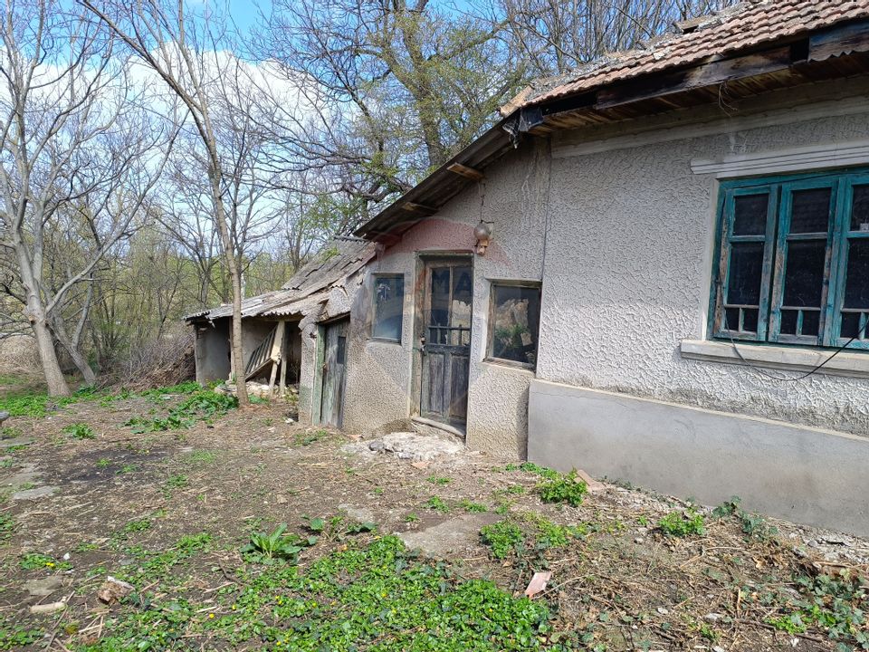 Teren  intravilan 867mp Moara Vlasiei / Soseaua Eroilor