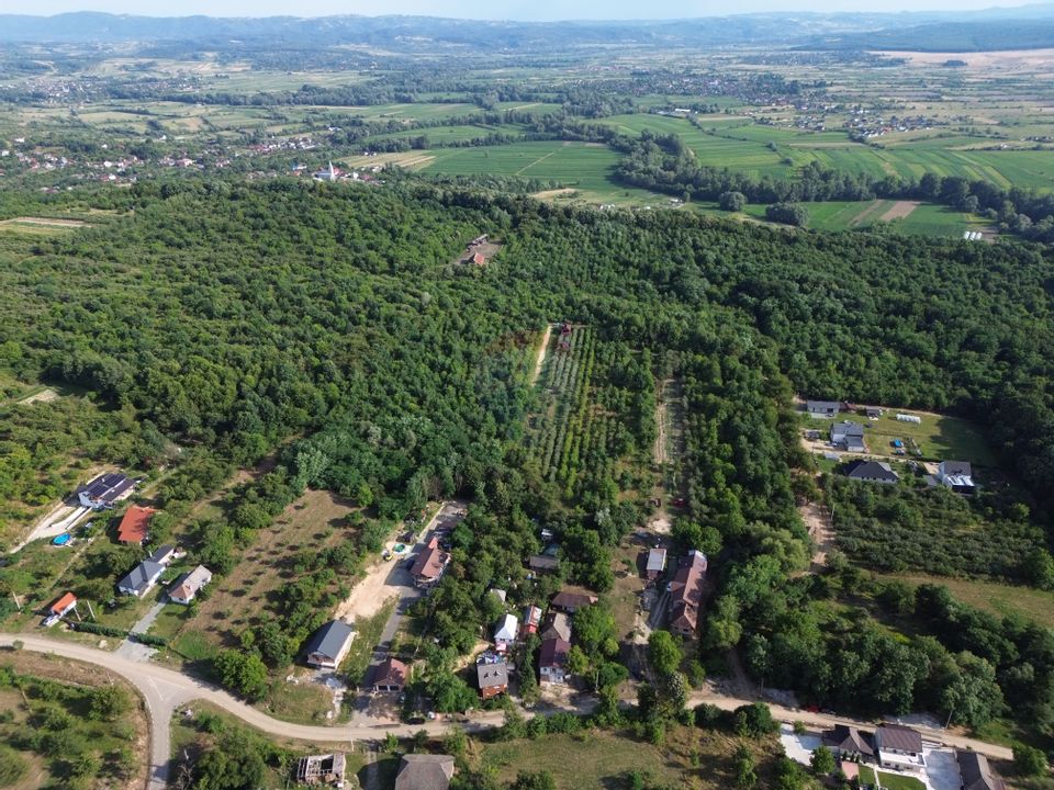 TEREN DE VANZARE PENTRU DEZVOLTARE IMOBILIARA