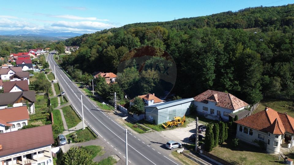 Spatiu comercial si casa de vanzare in Furnicosi.